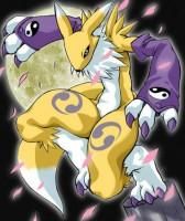 Poze - Miyako ever - Renamon