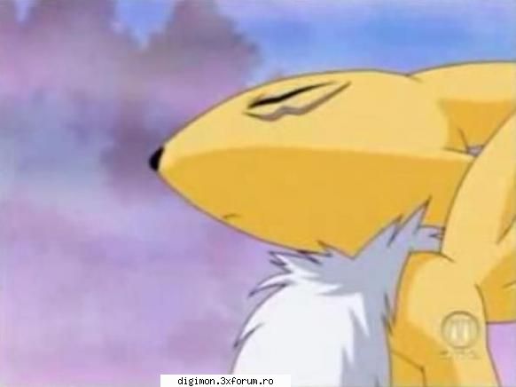 Poze - Renamon - Renamon