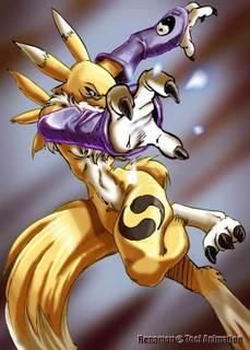 Poze - Renamon - Renamon