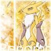 Poze - Renamon - Renamon