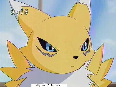 Poze - Renamon - Renamon