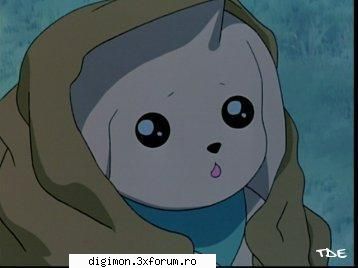 Poze - Terri - Terriermon