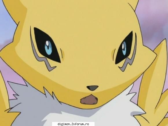 Poze - Renamon - Renamon