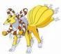 Poze - jeryleomon - Renamon