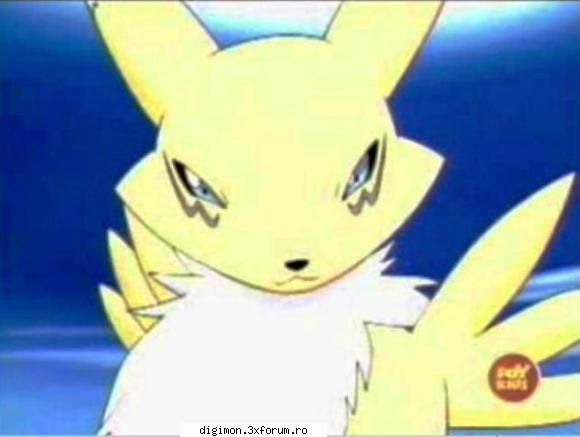Poze - Renamon - Renamon